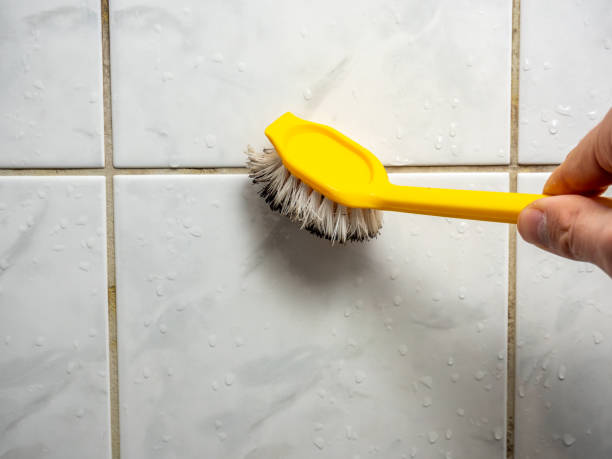 Best Commercial Mold Removal  in Prairie Creek, AR