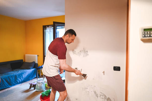 Mold Removal and Inspection in Prairie Creek, AR